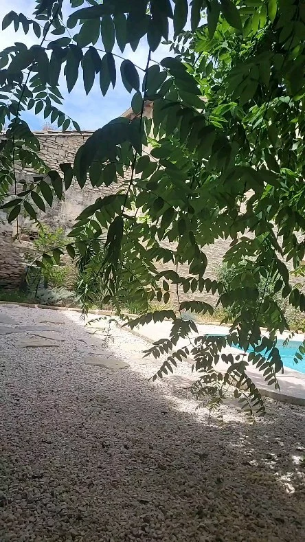 #lapromenadesuiteandspa 
#vaunage #relax#bienetre
#jazzjunas
#sommieres
#nimes
#montpellier 
#occitanie
#piscine
#chambredhotes